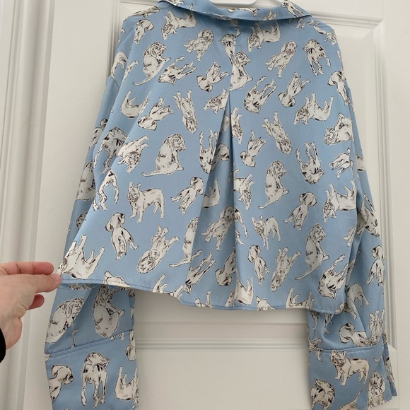 Zara - Dog Pattern Printed Sky Blue TRF Shirt - Picture 9 of 11